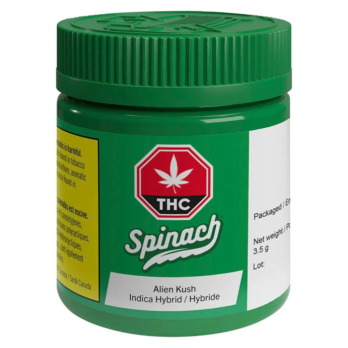 Spinach Summer Bundle