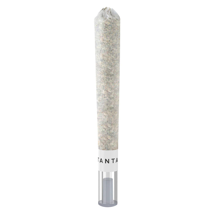 Tantalus - Pre-Rolled Animal Sundae Glass Tip